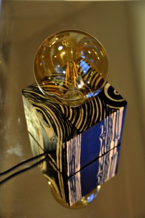 6 Zèbre miroir